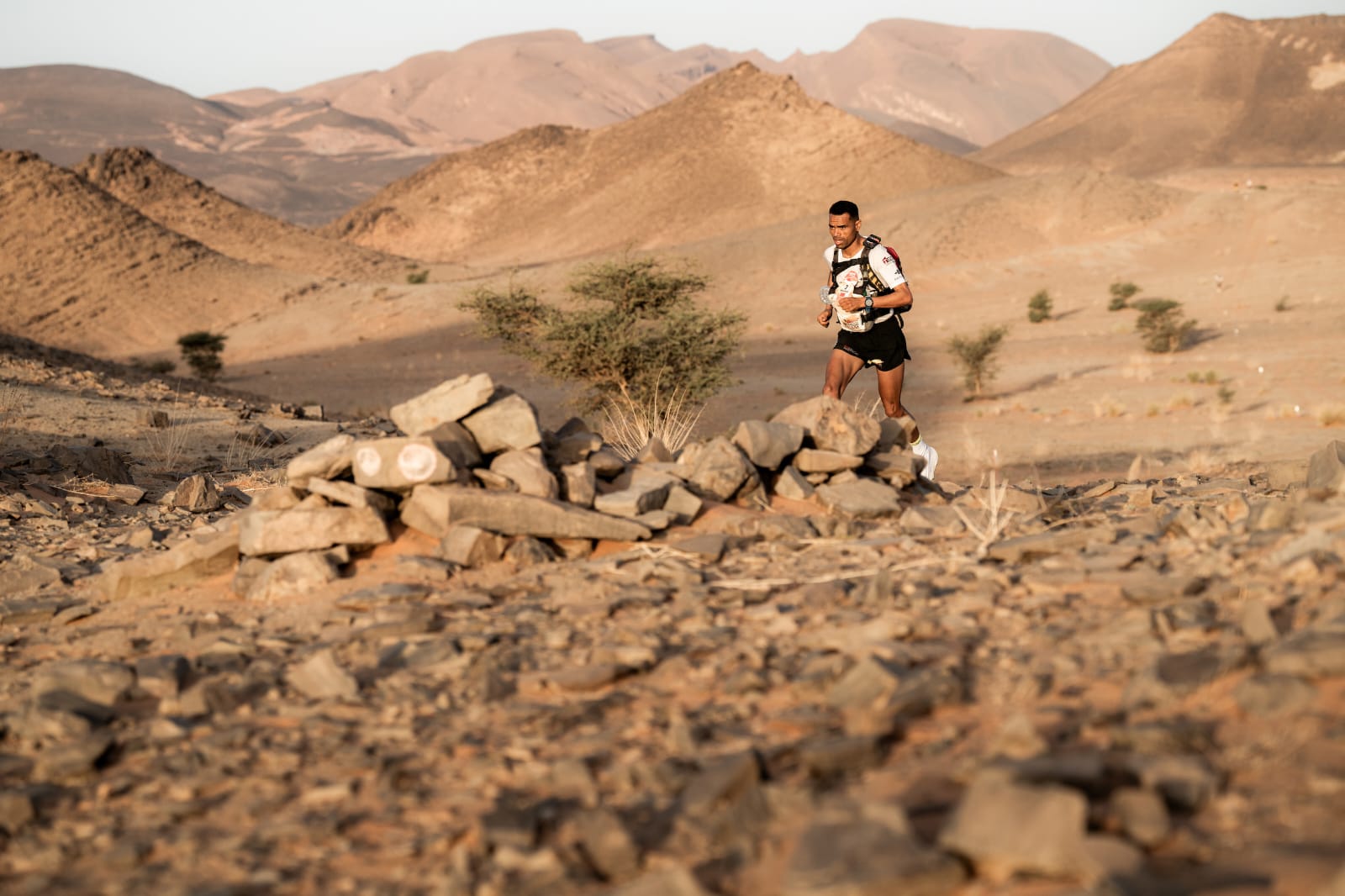 العداء المرابطي يستعيد هيبته ويحقق انتصارا جديدا في ماراثون الرمال التاريخي المليء بالتحديات